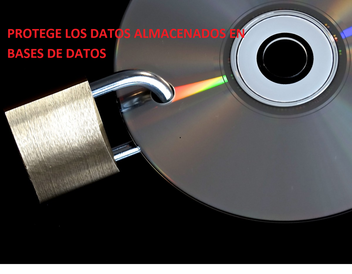 SEGURIDAD EN BASES DE DATOS. COPIAS DE SEGURIDAD.